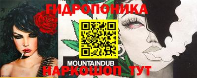эйфоретик Брянск
