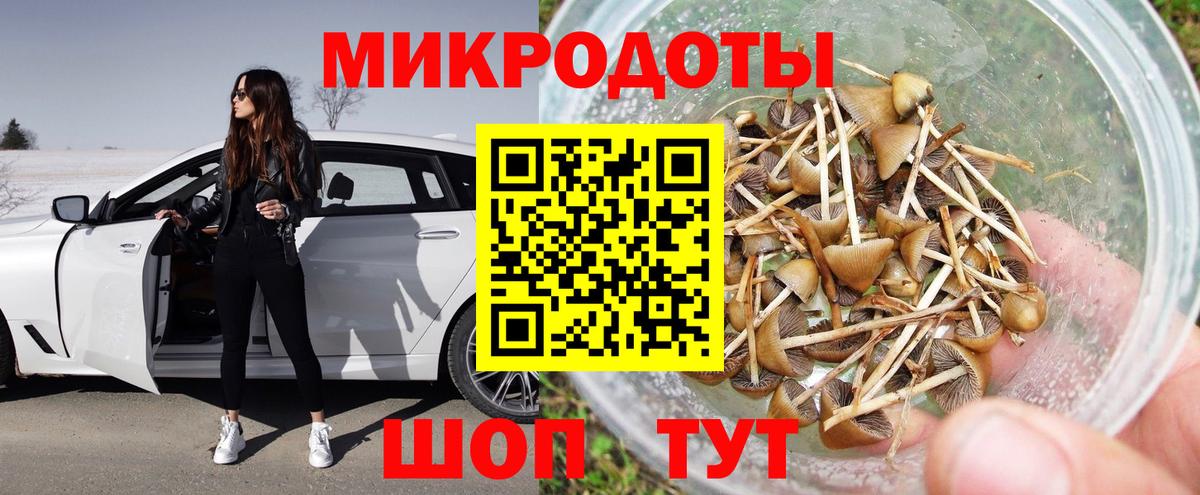 Иркутск  Псилоцибиновые грибы мицелий  что такое наркотик  Вход с VPN  Псилоцибиновые грибы GOLDEN TEACHER 